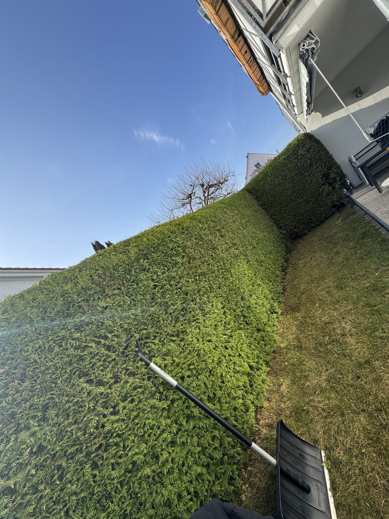 Sauber geschnittene Gartenhecke
